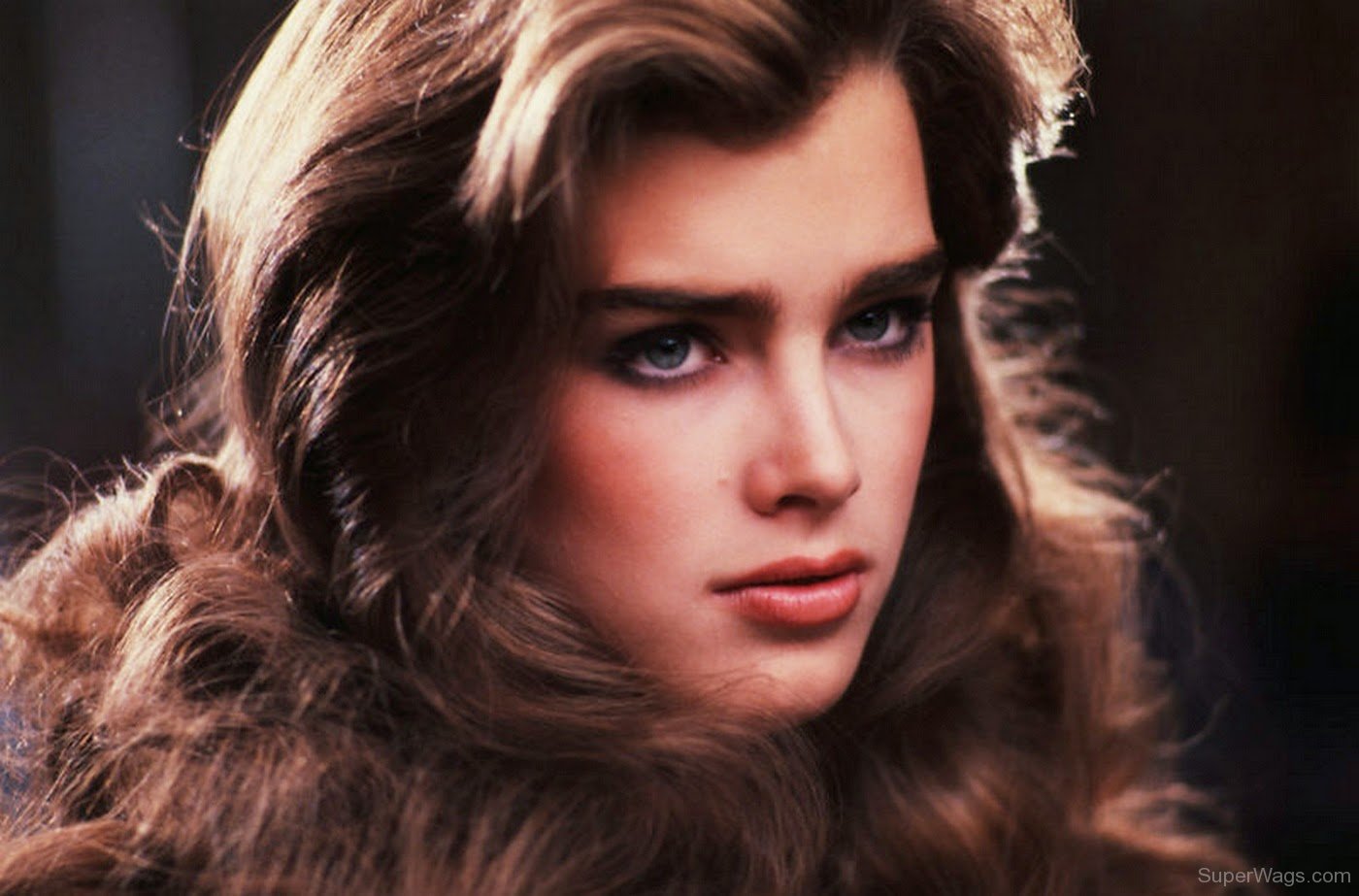 Picture Of Brooke Shields | Super WAGS - Hottest Wives and Girlfriends ...